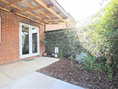 Picture 15
